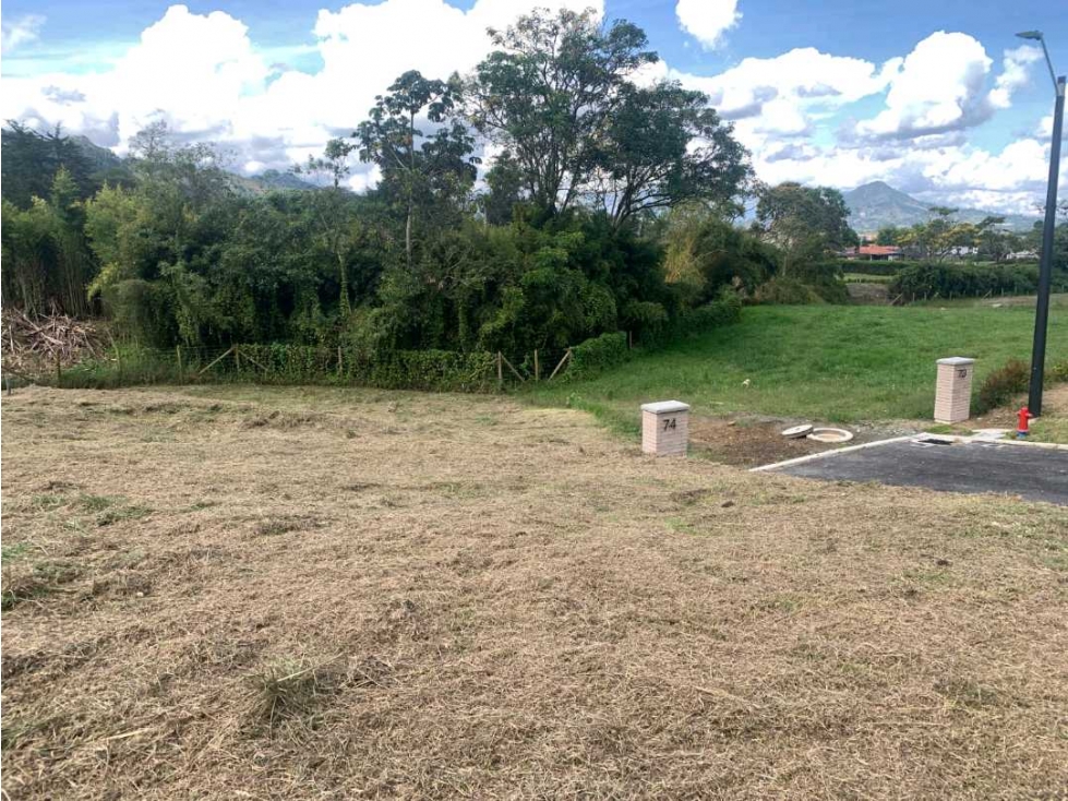 [EM] SE VENDE MUY BUEN LOTE EN LA CEJA,CON TOPOGRAFIA MUY BONITA — foto 3