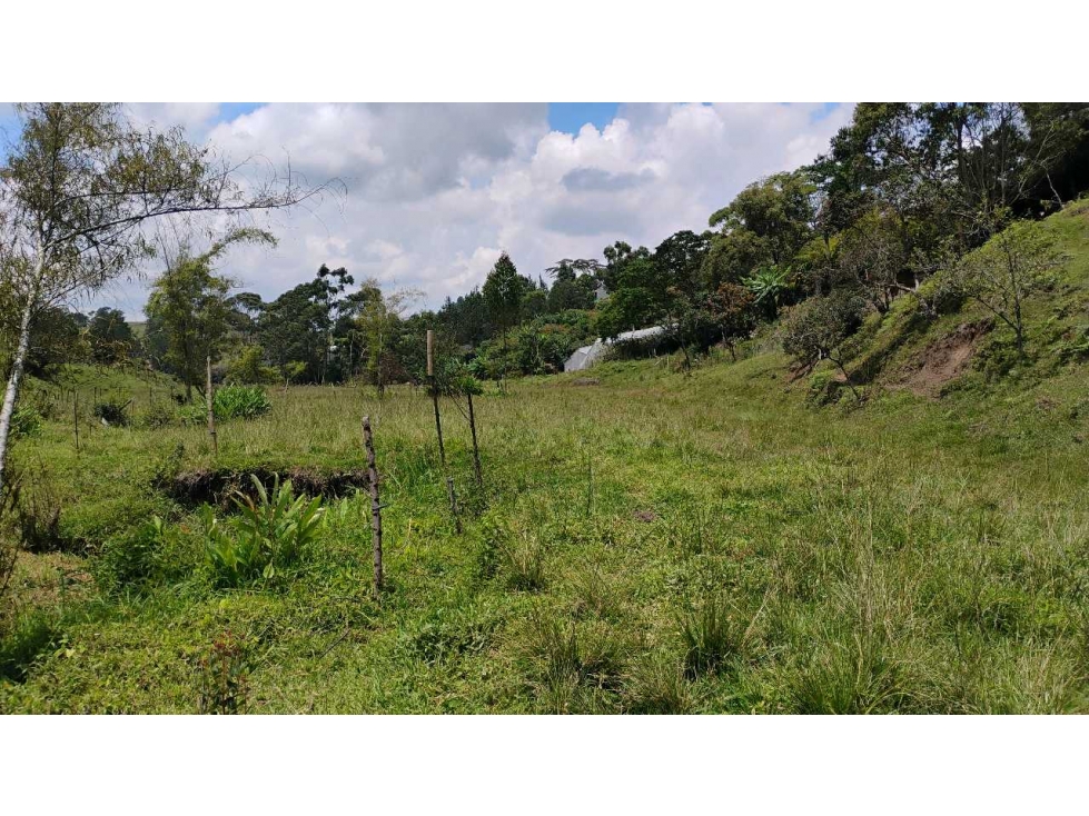 [RA] FINCA EN VENTA SAN VICENTE VEREDA CHAPARRAL SOLO CONTADO — foto 2