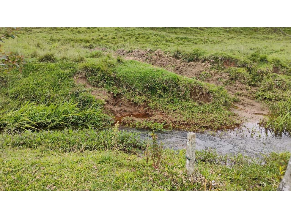 [RA] FINCA EN VENTA SAN VICENTE VEREDA CHAPARRAL SOLO CONTADO — foto 3