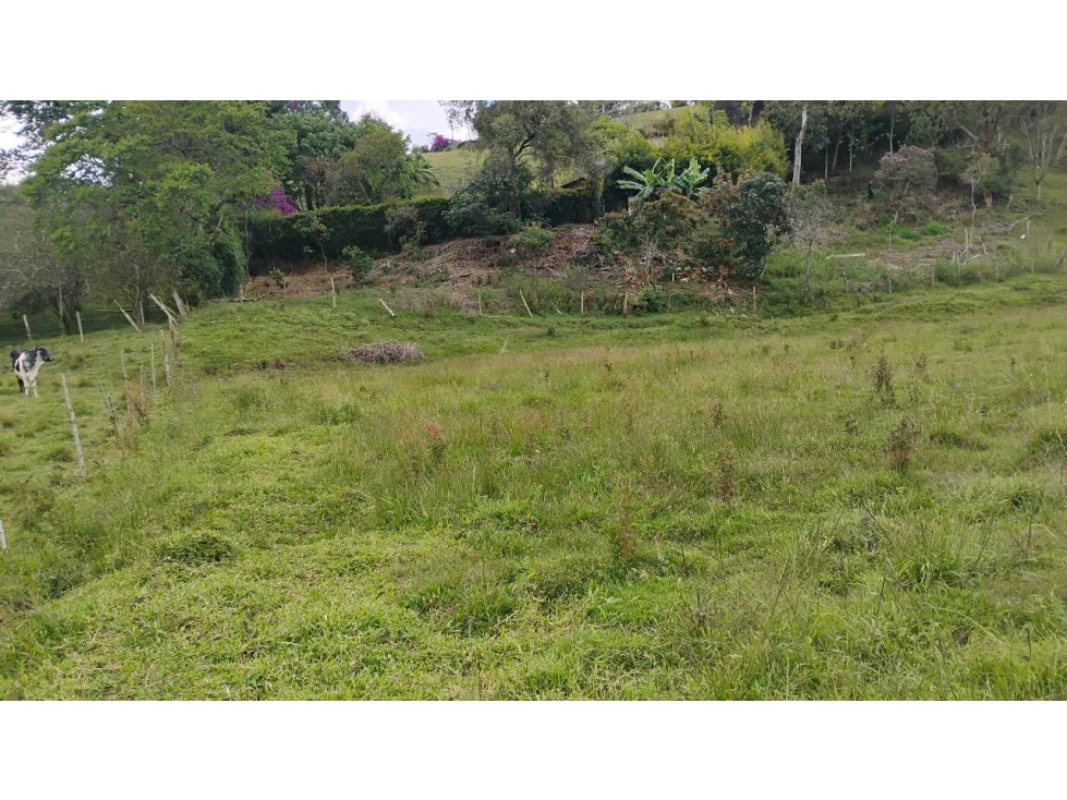 [RA] FINCA EN VENTA SAN VICENTE VEREDA CHAPARRAL SOLO CONTADO — foto 4