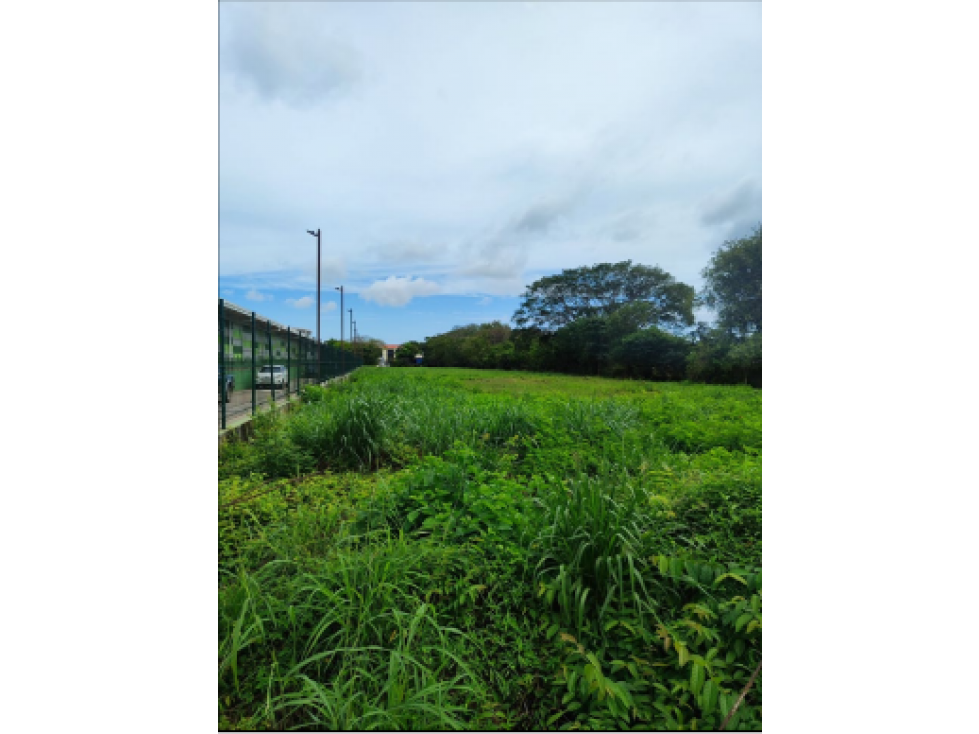 VENTA DE TERRENO EN HERRERA, CHITRE AREA COMERCIAL - 5