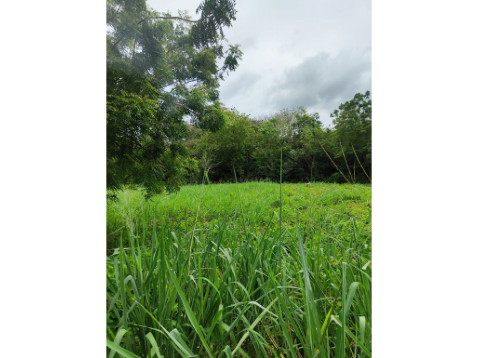 VENTA DE TERRENO EN HERRERA, CHITRE AREA COMERCIAL - 6