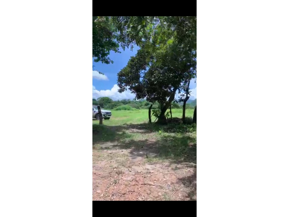 Se vende Terreno de 5 Hectareas en Penonomé - 1