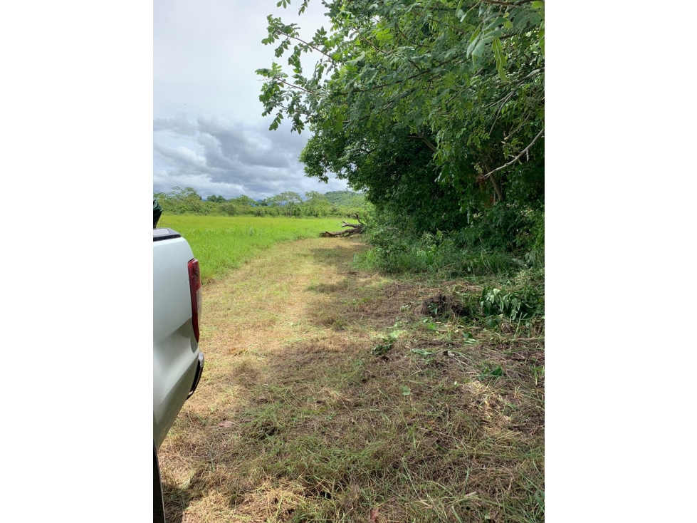 Se vende Terreno de 5 Hectareas en Penonomé - 5