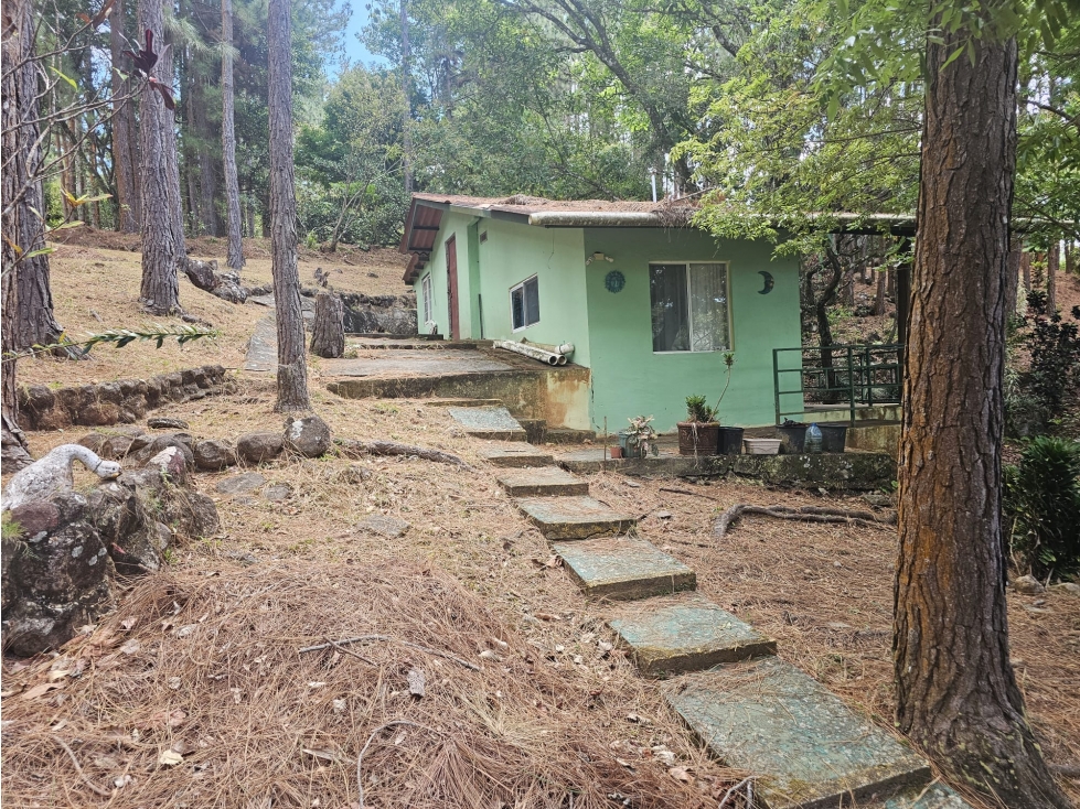 VENTA DE TERRENO CON CASA EN ALTOS DE MARIA