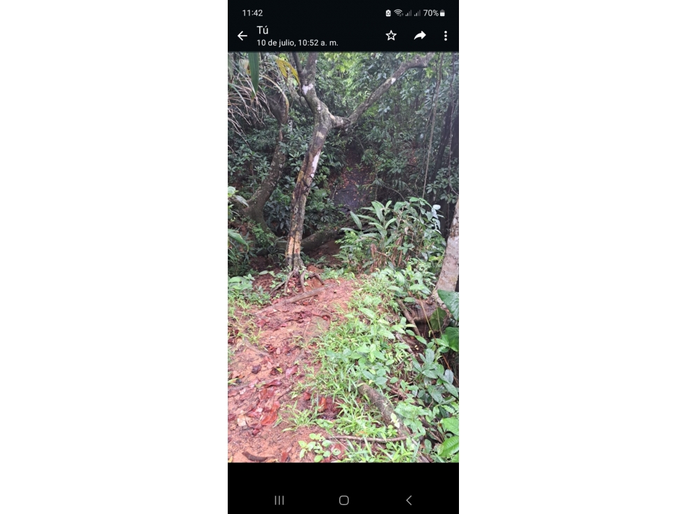 VENTA DE TERRENO DE PLAYA EN COLON PALMAS BELLAS - 2