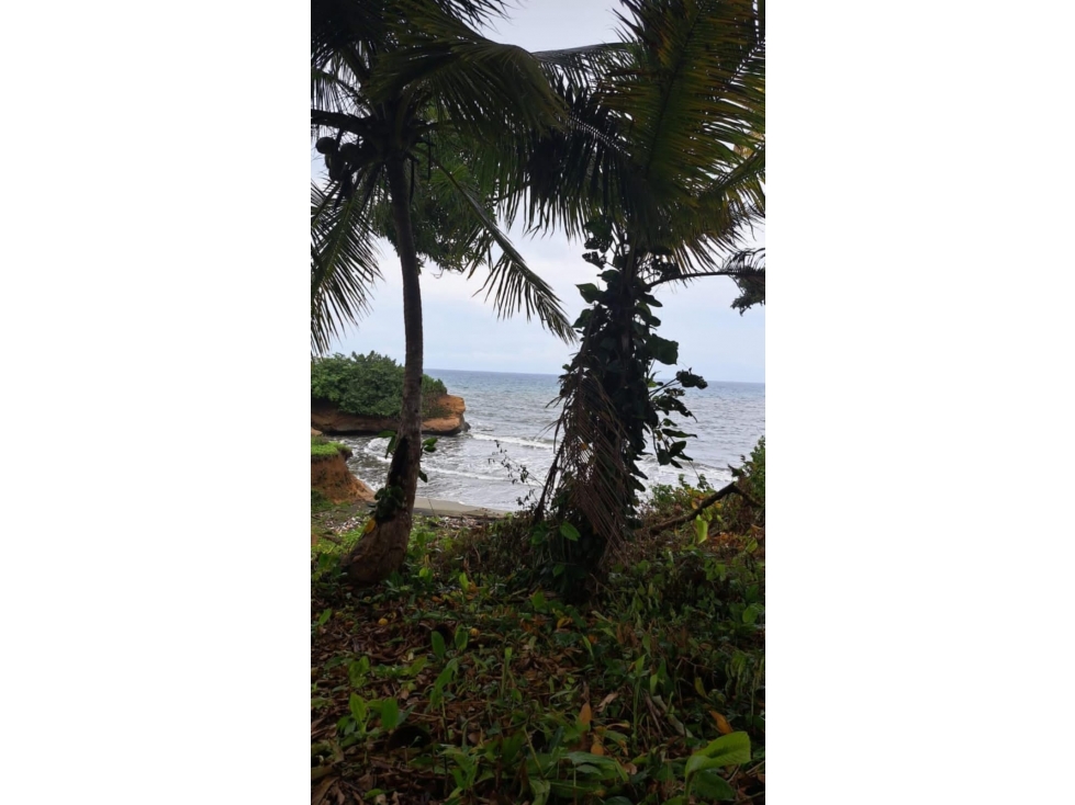 VENTA DE TERRENO DE PLAYA EN COLON PALMAS BELLAS - 3