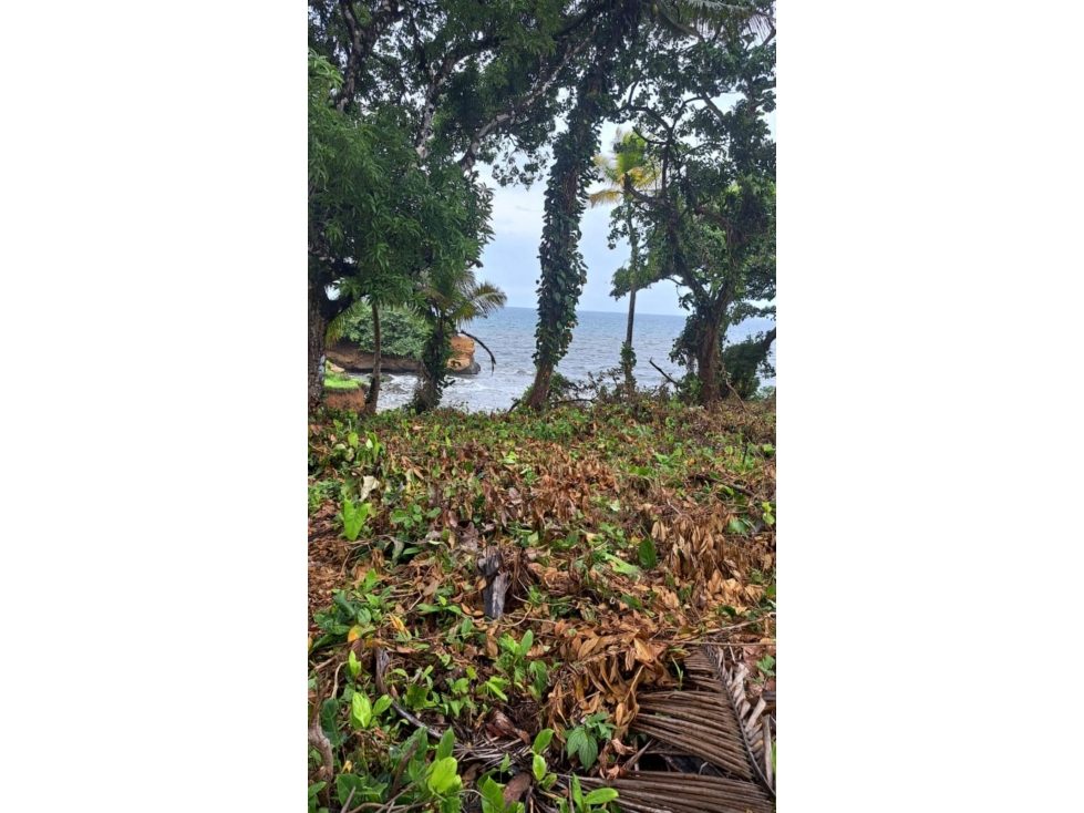 VENTA DE TERRENO DE PLAYA EN COLON PALMAS BELLAS - 4