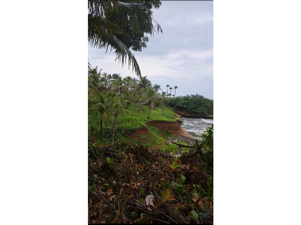 VENTA DE TERRENO DE PLAYA EN COLON PALMAS BELLAS - 5