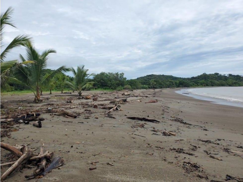 VENTA DE TERRENO EN COLON, NOMBRE DE DIOS - 3