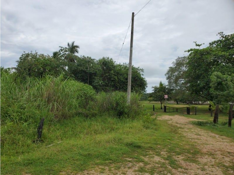 VENTA DE TERRENO EN COLON, NOMBRE DE DIOS - 4