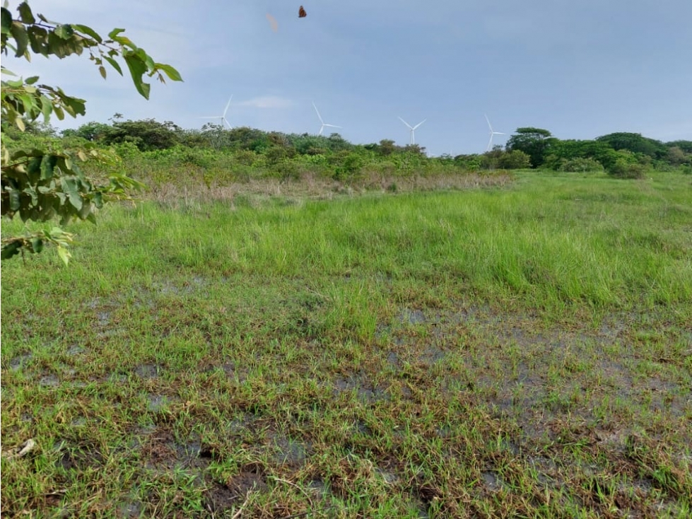 REMATE DE TERRENO EN PENONOME IDEAL PARA BARRIADAS — foto 6