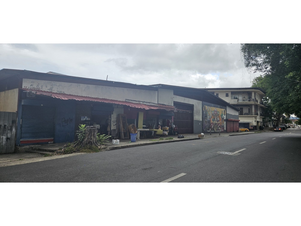Venta de Galera Comercial en Santa Ana, Calle Estudiante - 5