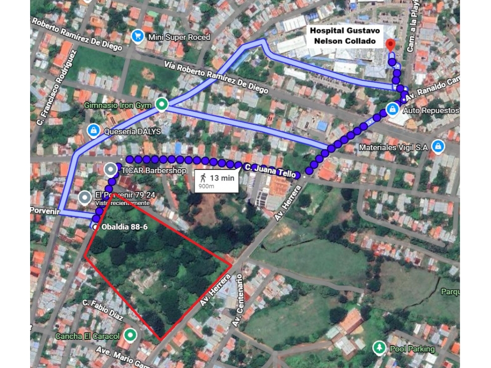 se vende 4.2 hectáreas en el centro de Chitré - 4