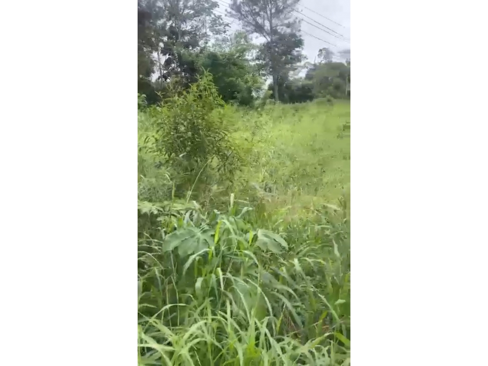 Venta de terreno en Bágala, Chiriquí - 2