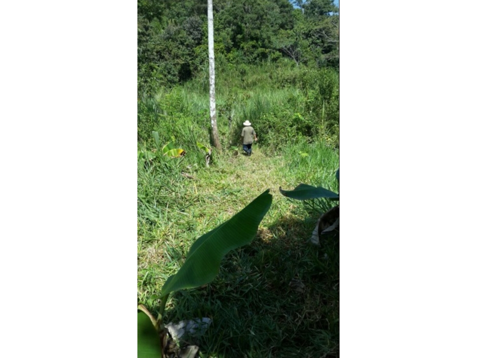 Venta de terreno en Bágala, Chiriquí - 3