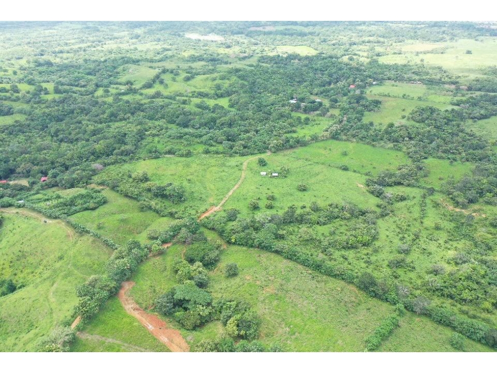 Venta de finca en Tanara, Chepo - 2