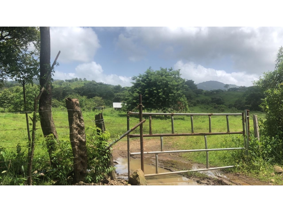 Venta de finca en Tanara, Chepo - 3