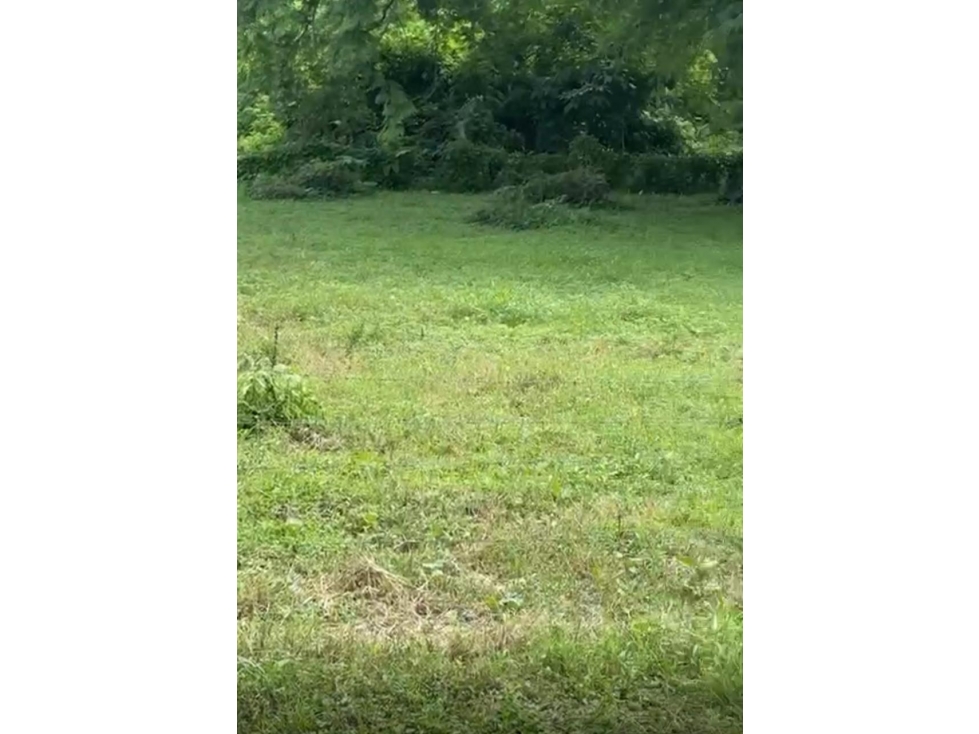 Venta de terreno en Guanico Abajo, Tonosí - 1