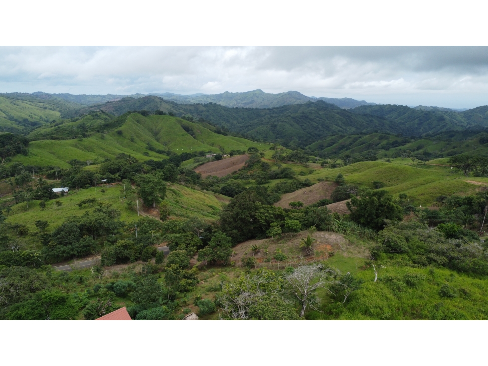 Venta de terreno en El Espavé, Tonosí - 1