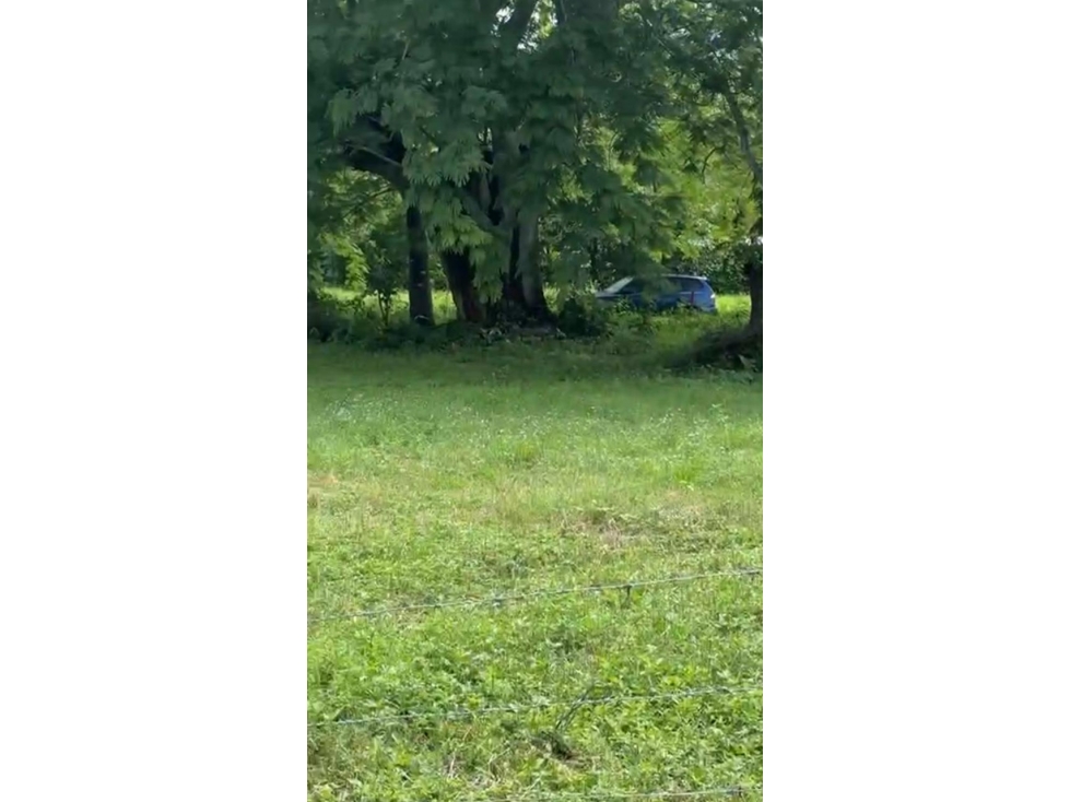 Venta de terreno en Guanico Abajo, Tonosí - 5