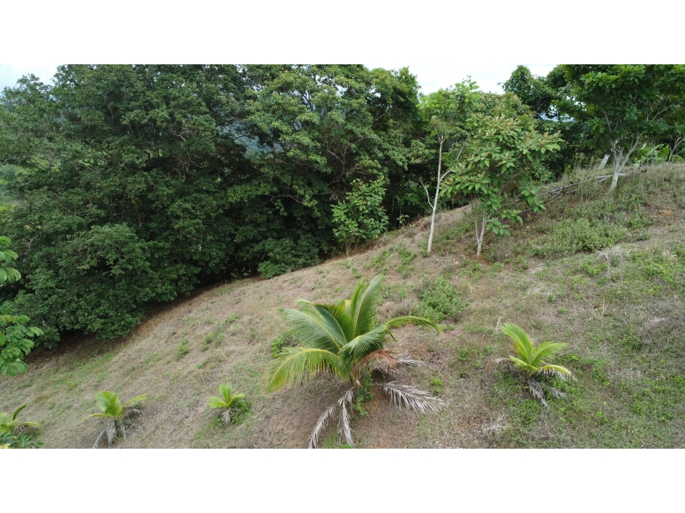 Venta de terreno en El Espavé, Tonosí - 3