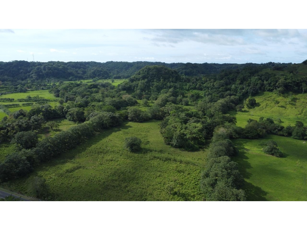 Venta o Alquiler de terreno en Colón, Achiotes - 1