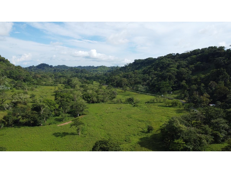 Venta o Alquiler de terreno en Colón, Achiotes - 2