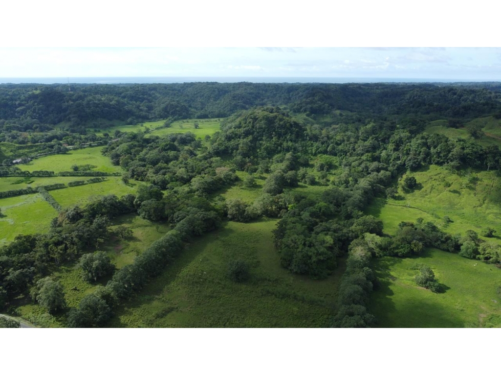 Venta o Alquiler de terreno en Colón, Achiotes - 3