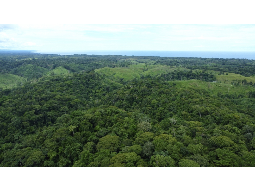 Venta de Terreno en Tonosí - 1