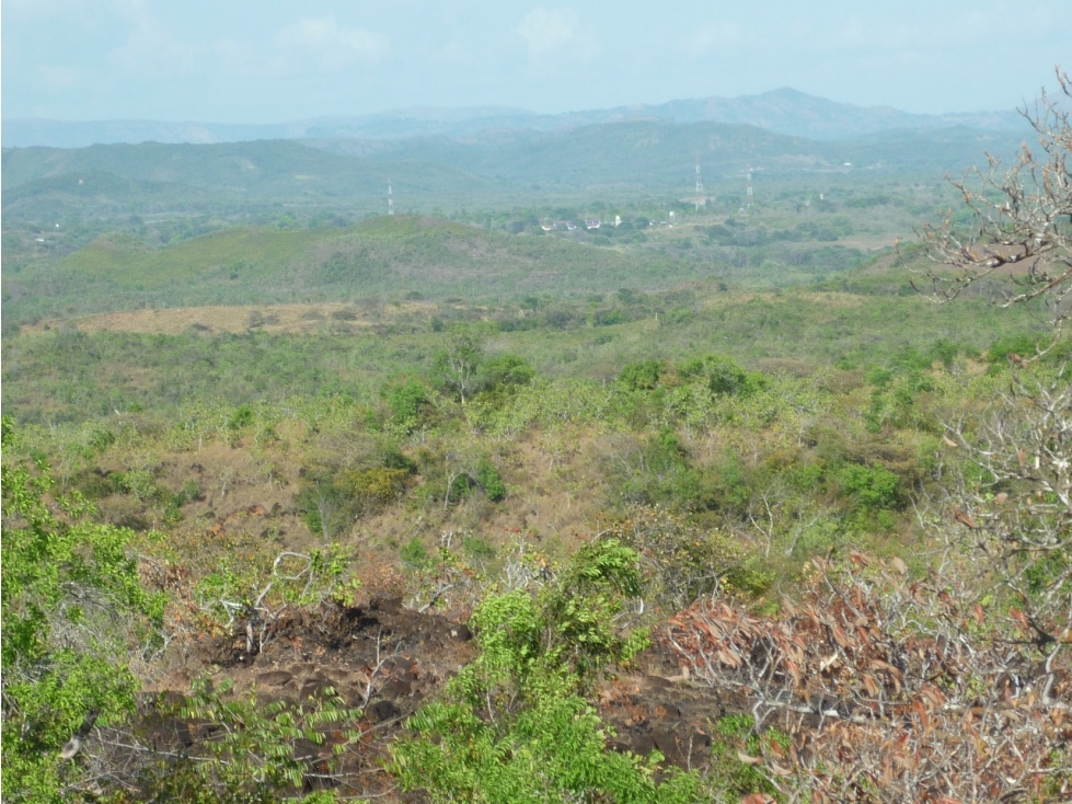 Venta de Terreno en Calobre - 4