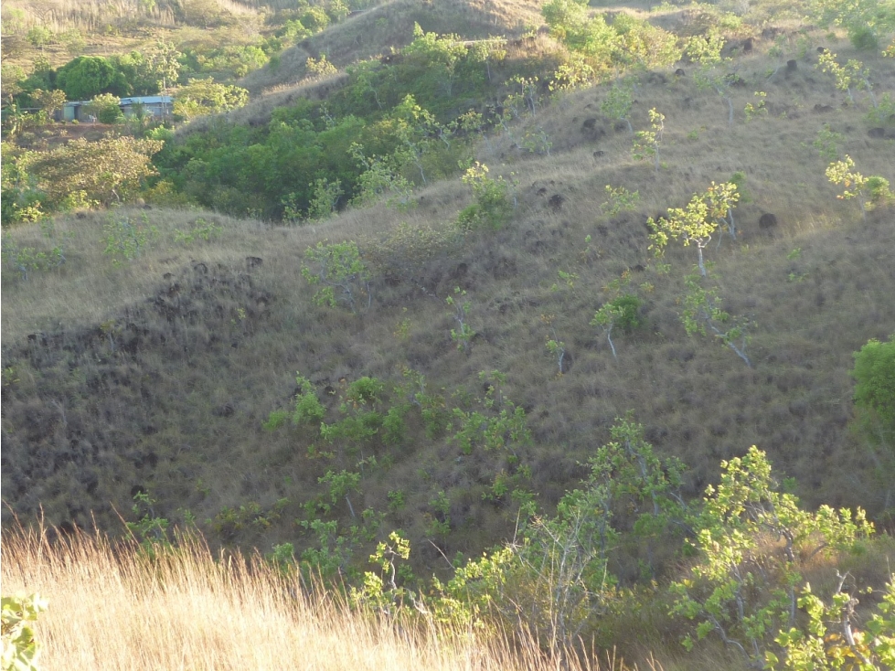 Venta de Terreno en Calobre - 5