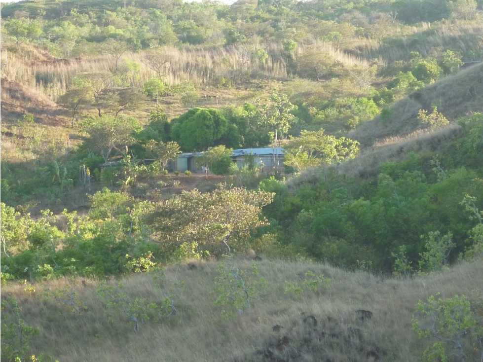 Venta de Terreno en Calobre - 6