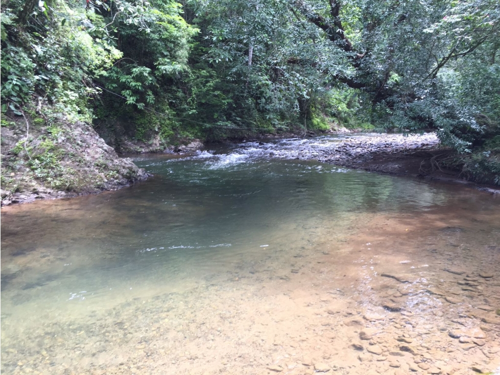 Venta de Finca en Cative, Veraguas - 6