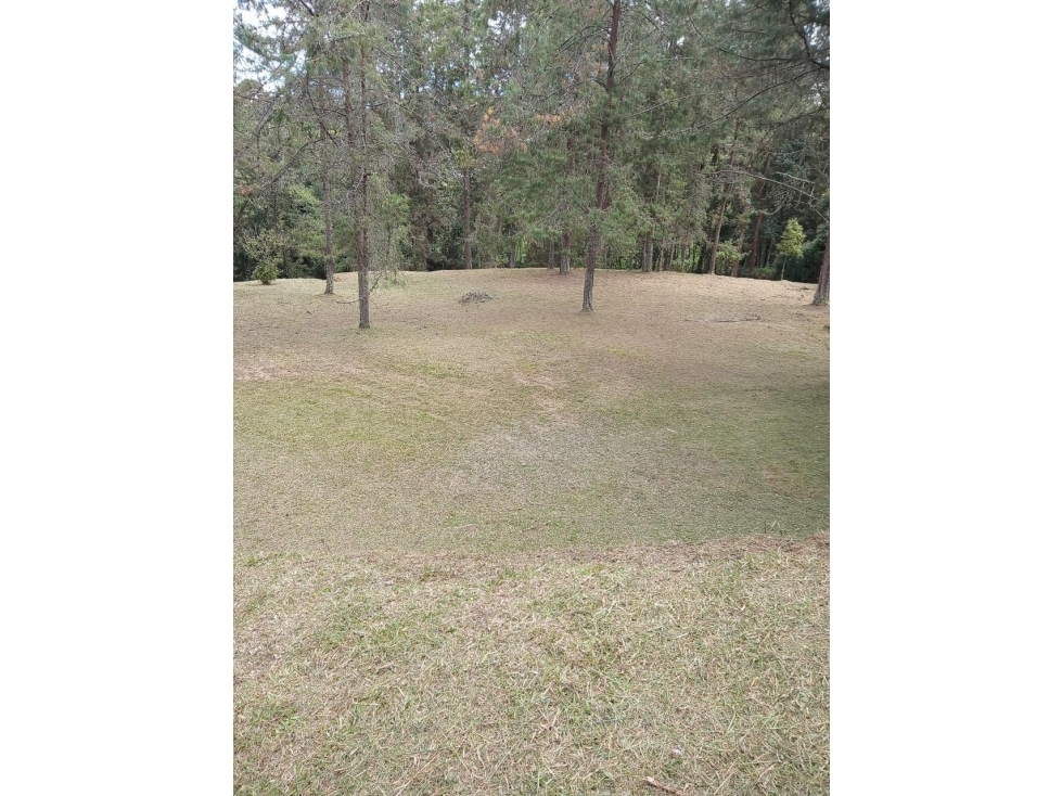 Venta de lote en las Palmas