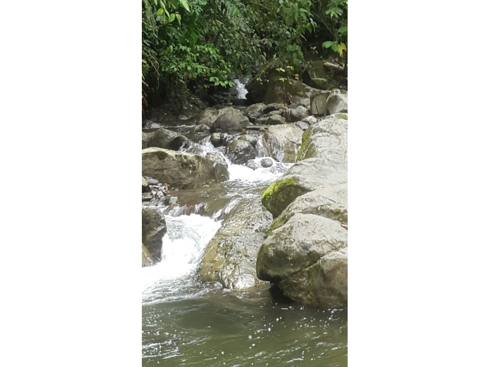 Venta de Finca en Changuinola, Bocas Del Toro - 3