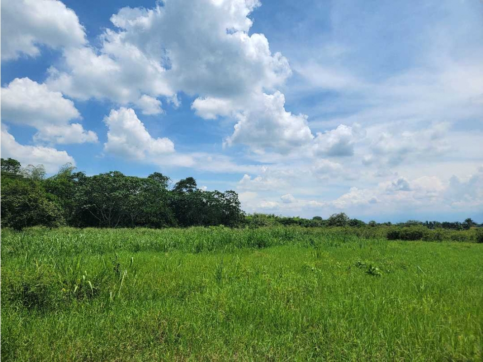 SE VENDE LOTE EN ZONA FRANCA PARQUE SUR VILLA RICA CW7488897ND - 1