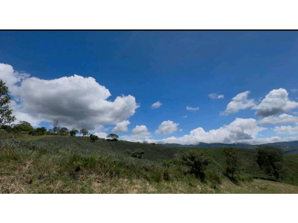Lotes km 34 vía a El Queremal VZ — foto 4
