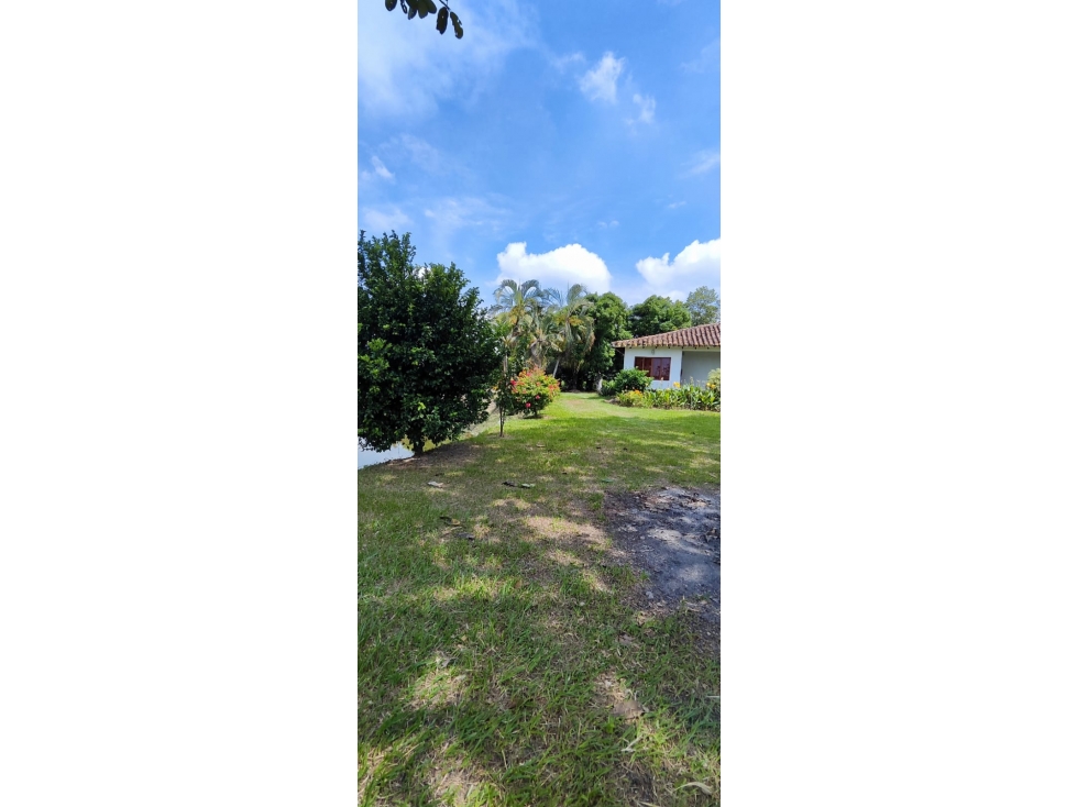 VENTA FINCA EN CANDELARIA-VALLE CCH W9411062 - 4