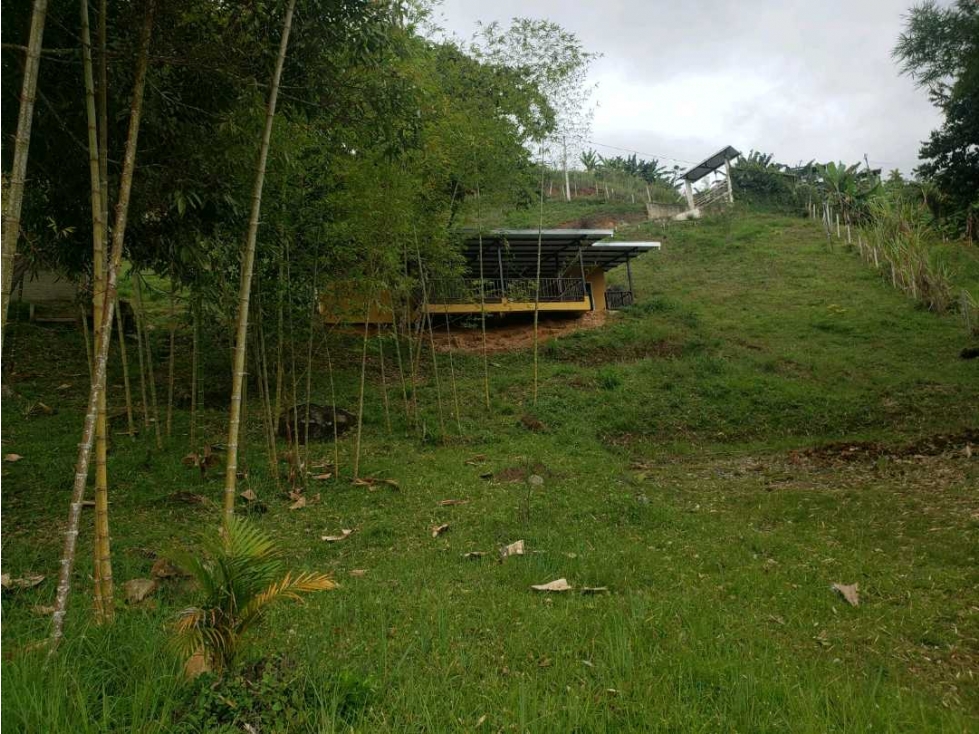 VENTA FINCA TOCOTA. DAGUA. W 9510041 L.G — foto 4
