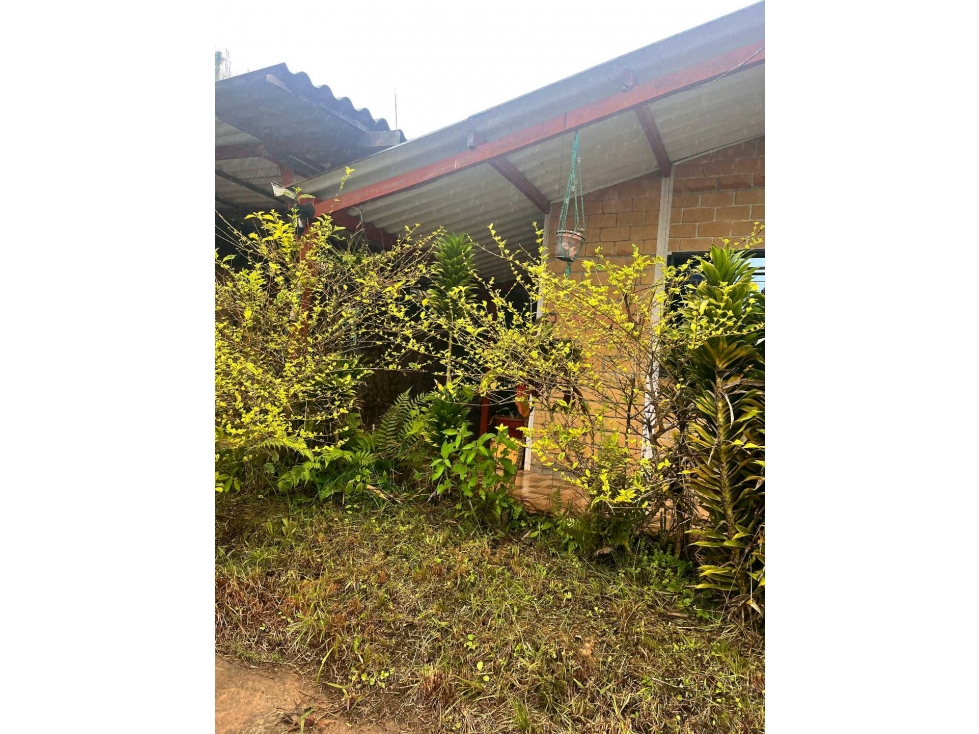 VENDO FINCA VIA AL QUEREMAL 1 PISO LJ 9735854 — foto 2