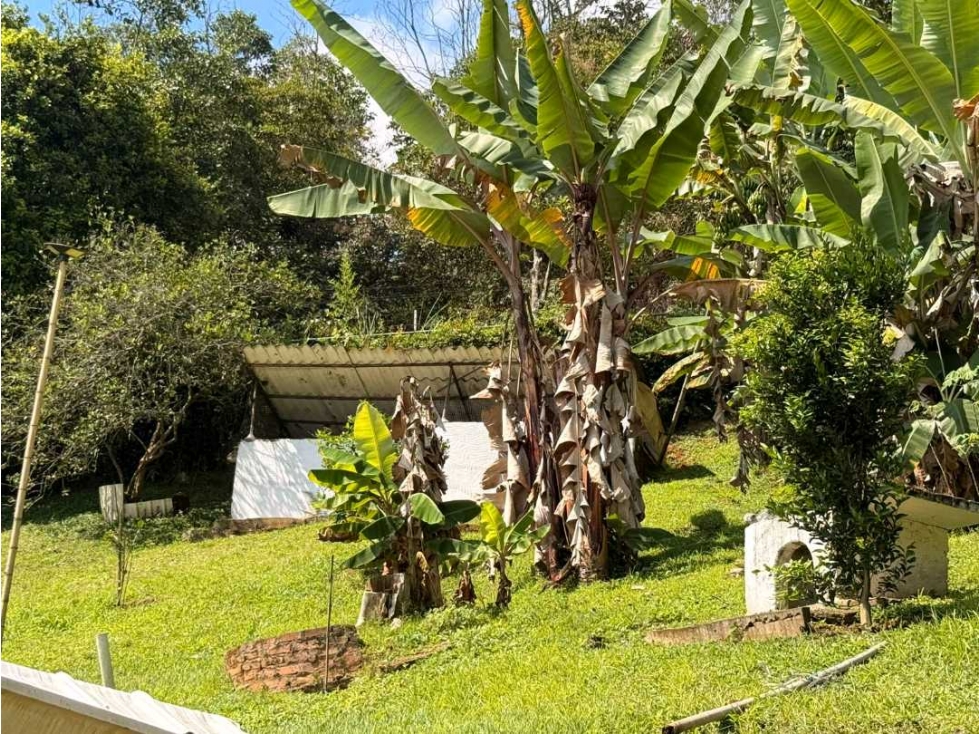 VENDO FINCA — foto 5