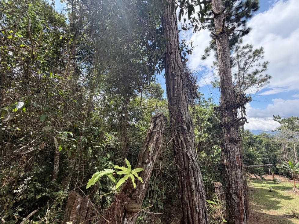 Vendo lote en Tocotá a 46 minutos de la Portada al mar VZ9810802 — foto 4