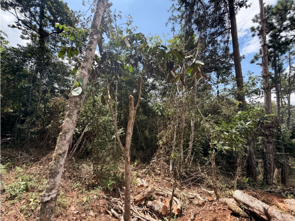 Vendo lote en Tocotá a 46 minutos de la Portada al mar VZ9810802 — foto 5