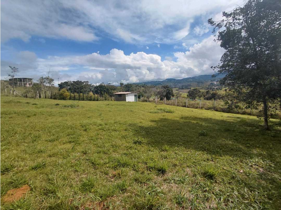 VENDO LOTE EN EL CARMEN 3.427 M2 ALG 7726455 — foto 4