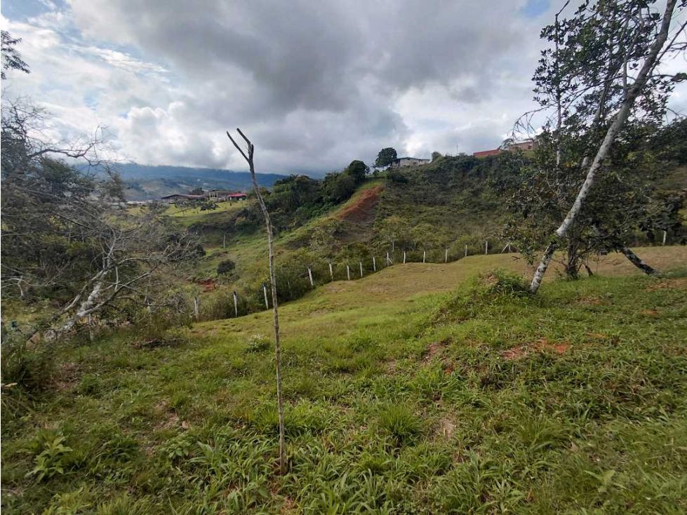 VENDO LOTE EN EL CARMEN 3.427 M2 ALG 7726455 — foto 5