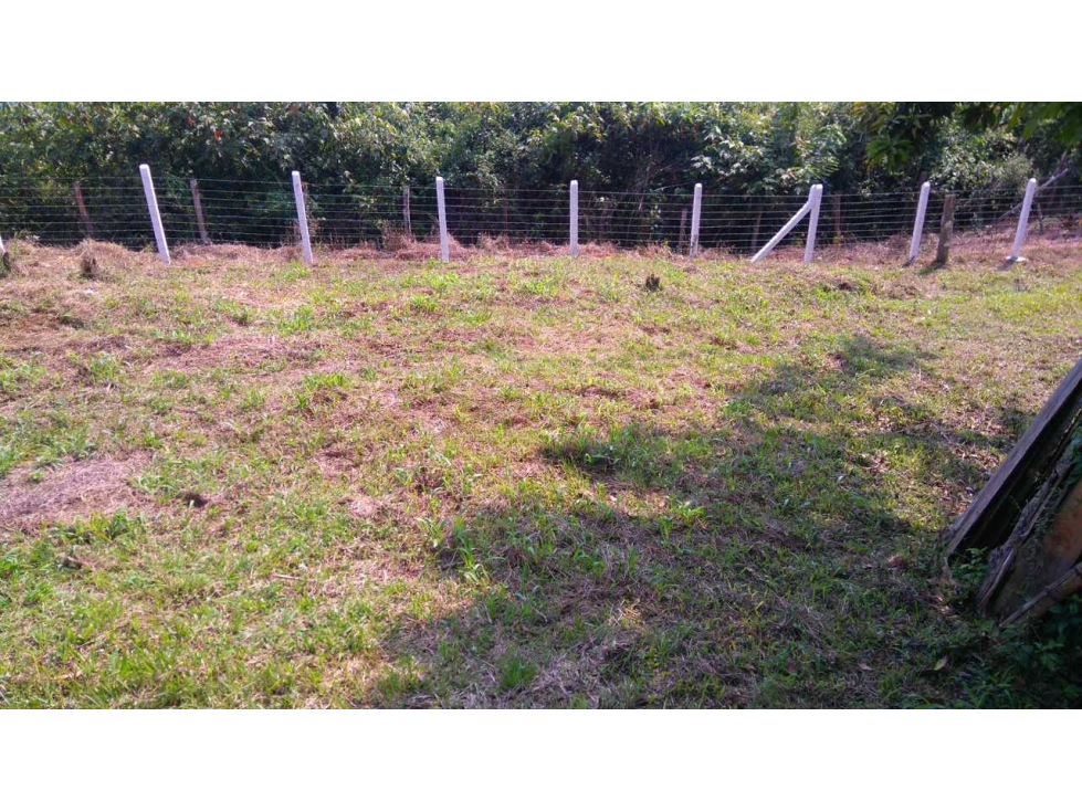 VENDO LOTE CAMPESTRE LA QUISQUINA PALMIRA LJ10129714 — foto 3