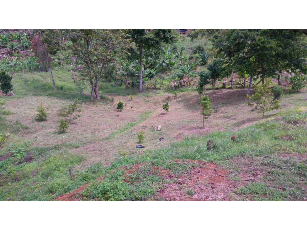 VENDO LOTE CAMPESTRE LA QUISQUINA PALMIRA LJ10129714 — foto 5