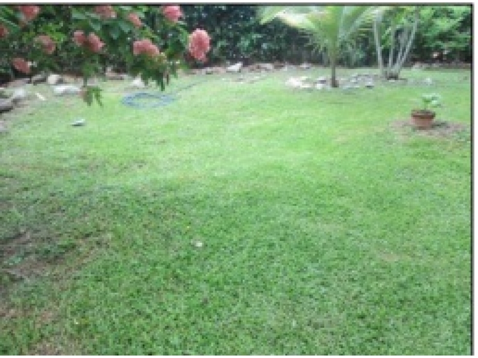 VENDO O PERMUTO FINCA EN SOPETRAN, PARCELACION NUEVA FLORIDA — foto 5