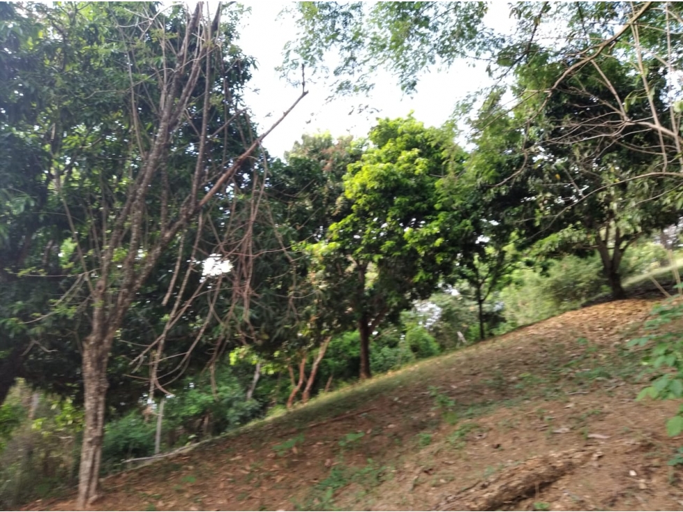 VENDO LOTE EN VIA SOPETRAN - OLAYA — foto 2